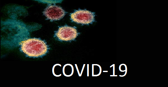 What are the symptoms of covid 19 in humans