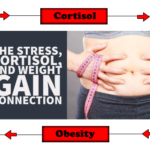 Why Obesity can Lead to Excess Cortisol Production