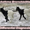 Asthma Bronchiolitis differential Diagnosis
