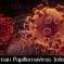 What is papillomavirus infection