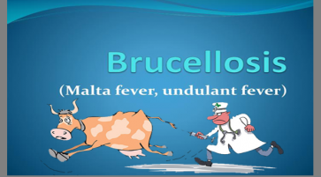 BRUCELLOSIS Types Epidemiology Clinic and treatment