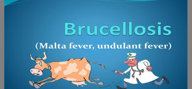 BRUCELLOSIS Types Epidemiology Clinic and treatment