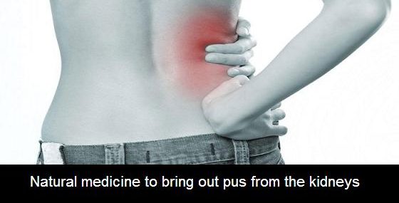 Natural medicine to bring out pus from the kidneys