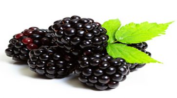 Nutrition facts and Nutritional information of Blackberries