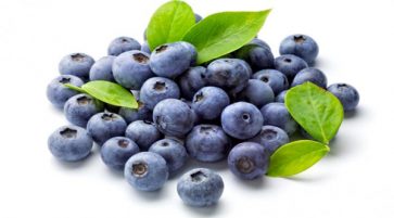 Nutrition facts and Nutritional information of Blueberries