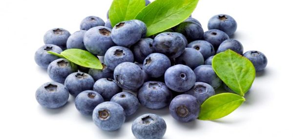 Nutrition facts and Nutritional information of Blueberries