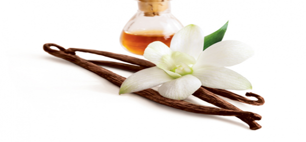 Nutrition facts and Nutritional information of Vanilla