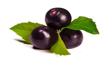Nutrition facts and Nutritional information of Acai Berries