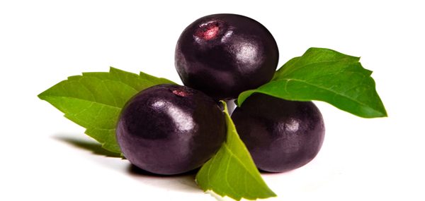 Nutrition facts and Nutritional information of Acai Berries
