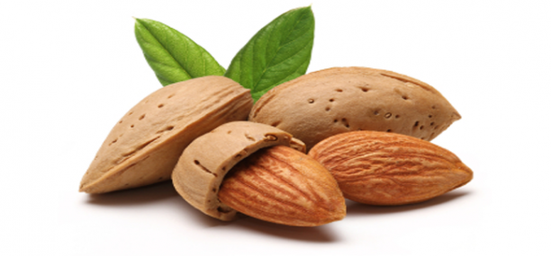 Nutrition facts and Nutritional information of Almonds