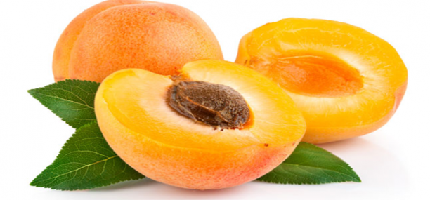Nutrition facts and Nutritional information of Apricots