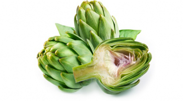 Nutrition facts and Nutritional information of Artichokes