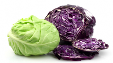 Nutrition facts and Nutritional information of Cabbage