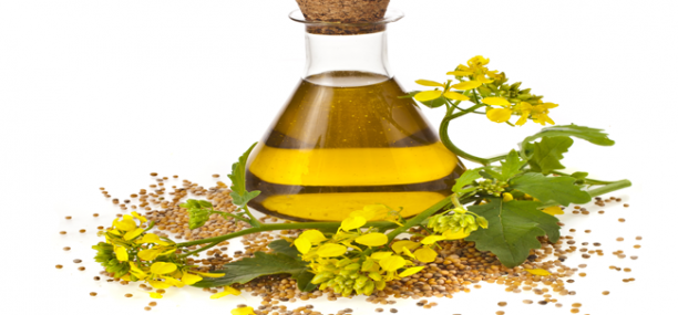Nutrition facts and Nutritional information of Canola oil