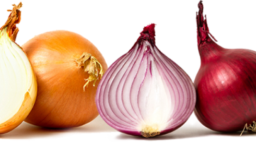 Nutrition facts and Nutritional information of Onions