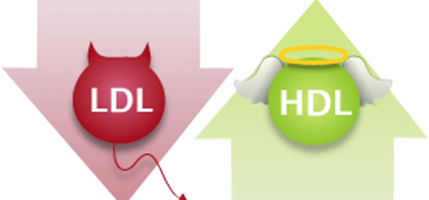 How to decrease LDL and increase HDL cholesterol levels naturally
