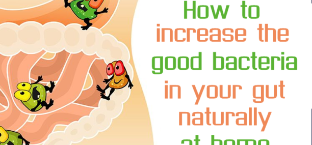 How to increase the good bacteria in your gut naturally at home