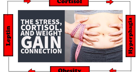 Why Obesity can Lead to Excess Cortisol Production