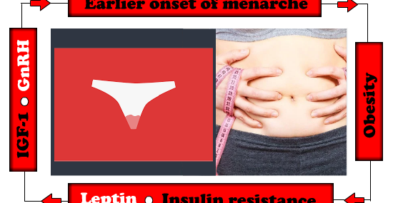 Why obese girls are more likely to have an earlier onset of menarche